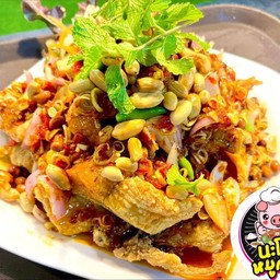 ปลาทับทิมลุยสวน