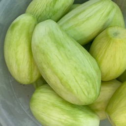 มะม่วงเปรี้ยว