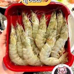 กุ้ง