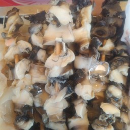 หอยเชอรี่