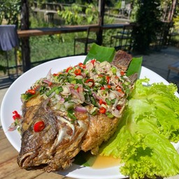 ผ้าปลานิล