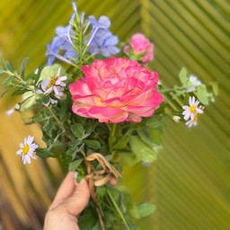 ช่อดอกไม้ในสวน