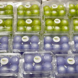 ขนมลืมกลืน