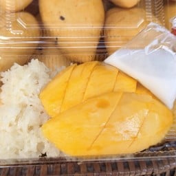 แมวงับไอศครีม