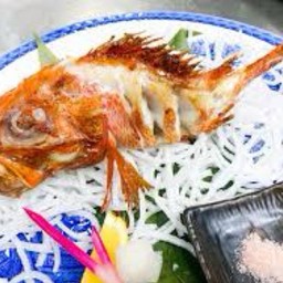 ปลาคินกิย่าง