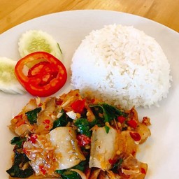 กระเพราหมูป่าราดข้าว