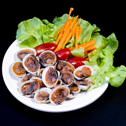 LM เพิ่มหอยแครง