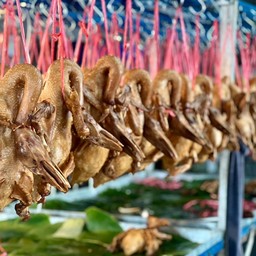 เป็ดไหว้