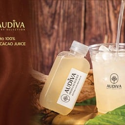 AUDIVA workshop cafe