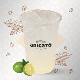 Iced Lemonade Soda 22 oz.