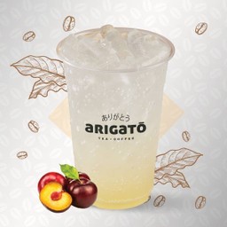 Iced Plum Soda 22 oz.