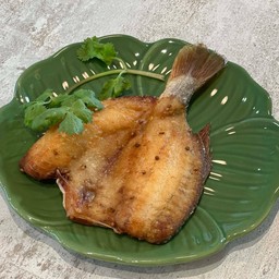 ปลาจวดแดดเดียว