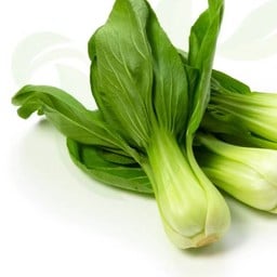 ฮ่องเต้น้อย