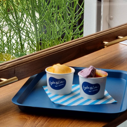 ไอศกรีม Mini 2 สกูป