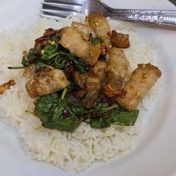 กะเพราหมูกรอบ