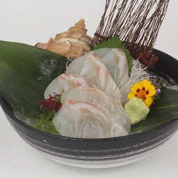 Madai Sashimi