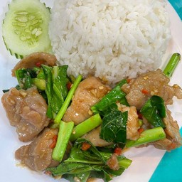 [นโมกะเพราถาด] - คะน้าหมูหมักราดข้าว