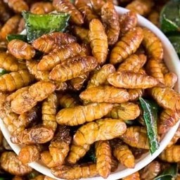 ทะเลดอง เมืองทอง