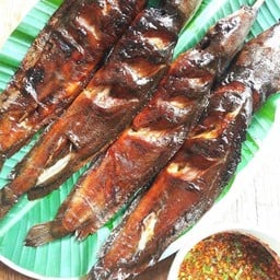 โคตรเต็มใจตามสั่ง