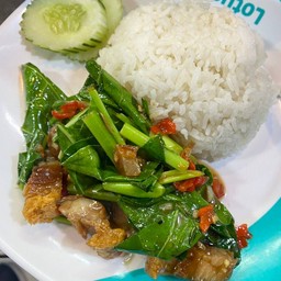 [นโมกะเพราถาด] - คะน้าหมูกรอบราดข้าว
