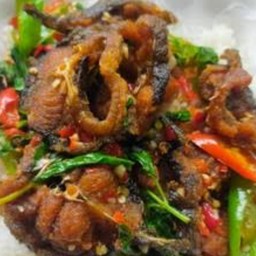 กระเพราปลาดุกทอดกรอบ ราดข้าว
