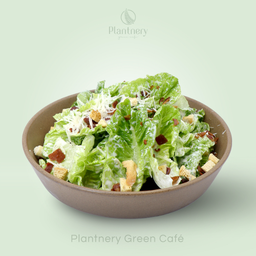 สลัดซีซ่าร์