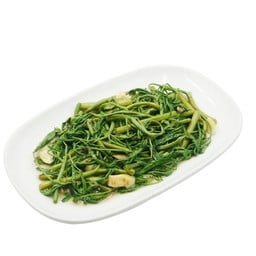 กระเฉดผัดน้ำมันหอย