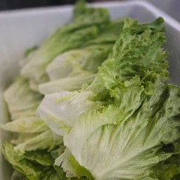 ผัดกาดหอม