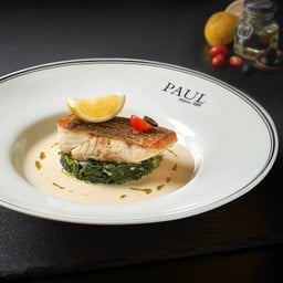 Seabass Steak