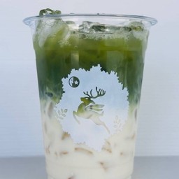 มัชฉะนมสด