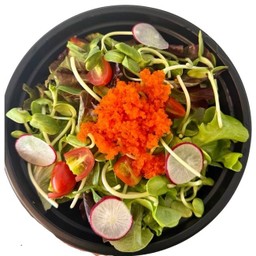 สลัดผักไข่กุ้ง