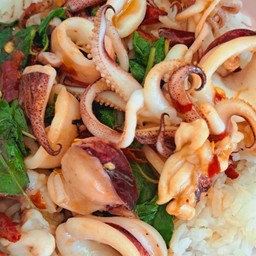 ข้าวกระเพราหมึก