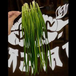 กุยช่าย