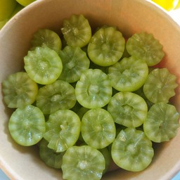 องุ่นไซมัสคัส ตัดแต่ง