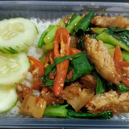 คะน้าหมูกรอบ ราดข้าว