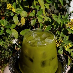 เพียวมัทฉะ ไม่น้ำตาลไม่นม