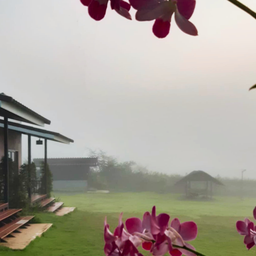 ดิวอี้ ฮิลล์ แคมป์ปิ้ง แอนด์ คาเฟ่ (DEWY HILL CAMPING AND CAFE)