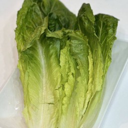 ผักกาดคอส 100 กรัม