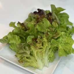 ผักสลัด 100 กรัม