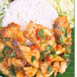 ปลากระพงผัดน้ำพริกเผาราดข้าว