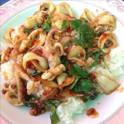 กระเพราปลาหมึก!