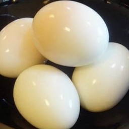 ไข่ต้ม 1 ฟอง