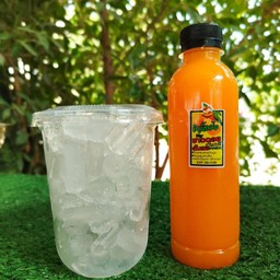 น้ำส้มคั้นสด + น้ำแข็ง