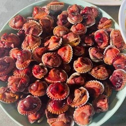 หอยแครงลวก ครึ่งกิโล พร้อมนํ้าจิ้ม