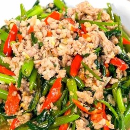 ผัดผักบุ้งหมูสับ ราดข้าว