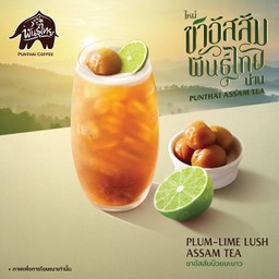 ชาอัสสัมบ๊วยมะนาวเย็น