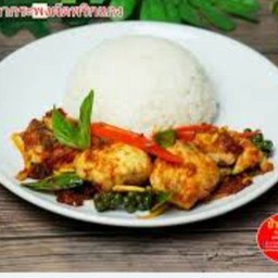 ผัดเครื่องแกงปลากระพงราดข้าว