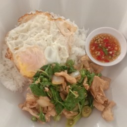 กะเพาไก่ราดข้าว