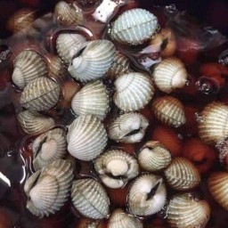 "มาโดนกุ้งดอง" By อัญอัญ