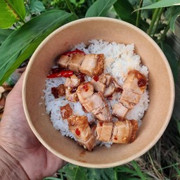 ข้าวหมูกรอบคั่วซอส